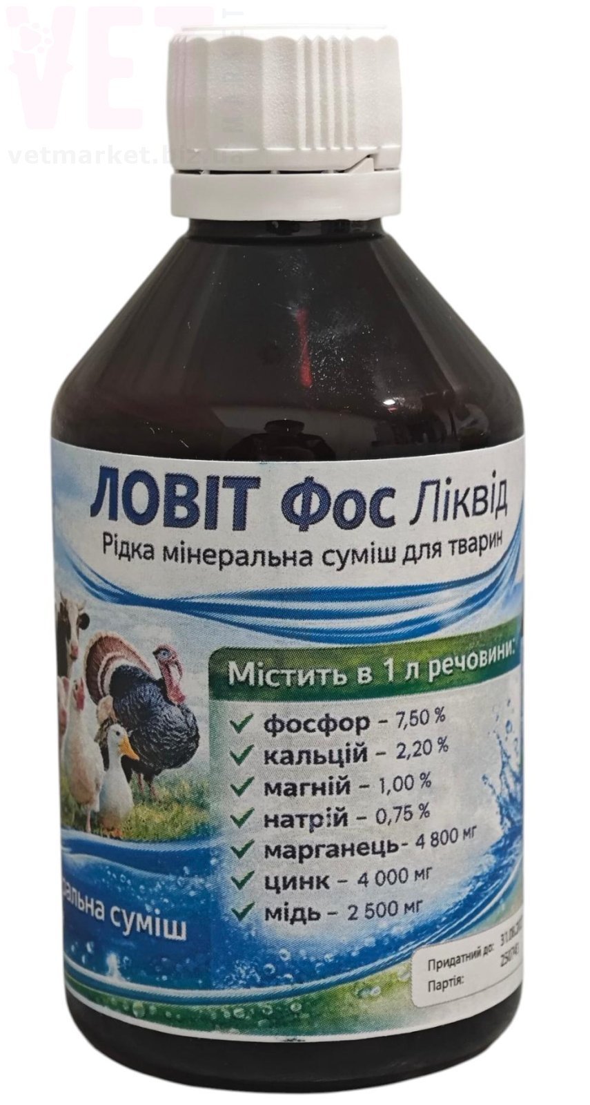 ����� ��� ������, 100 ��, ����. ��� ������