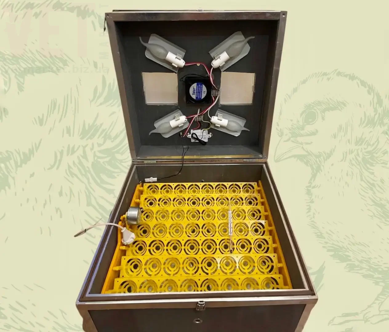 ��������� �������������� ������� 56. ���������� � ������������ �����������