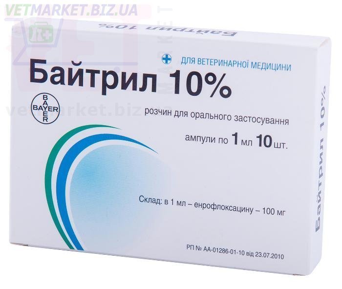 �����/������� 10% ��������, 10 ���.*1�� (������). ����� / ����� � �����������