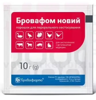 �������� �����, 10 �, ����������. ������������� � ����������������� ���������