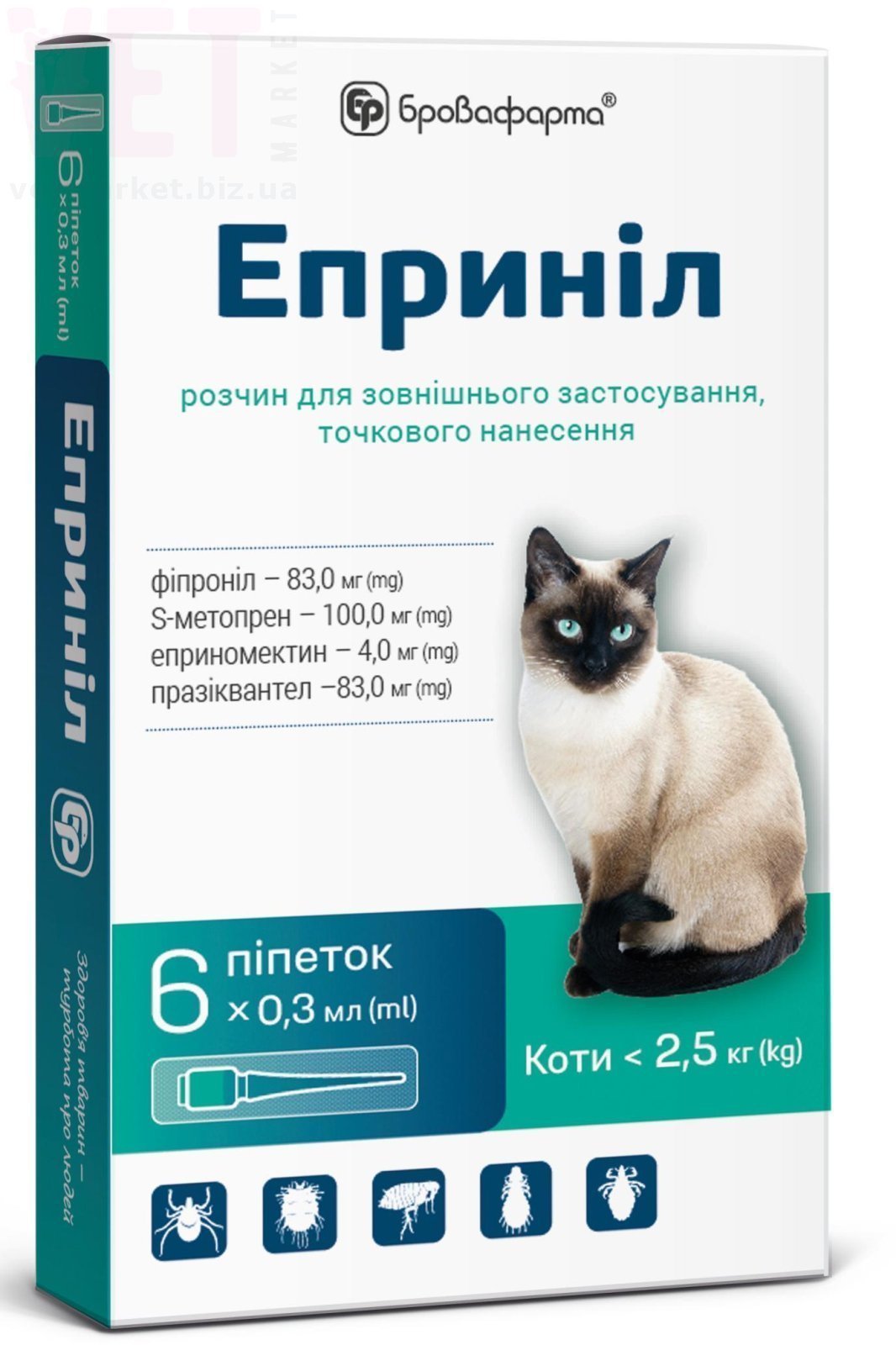 ������� 0,3 ��, �6, ����������. �����