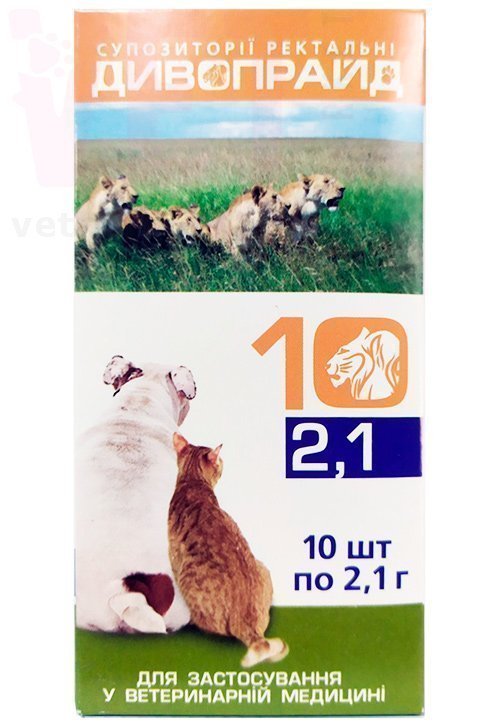 ������������, 10 ������, ���������. �������������