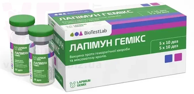 ������� ������, 10 ���, ����������. �������, ���������