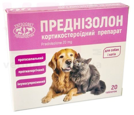 ����������� 20 ��, 20 ����., ����������. �������� �������