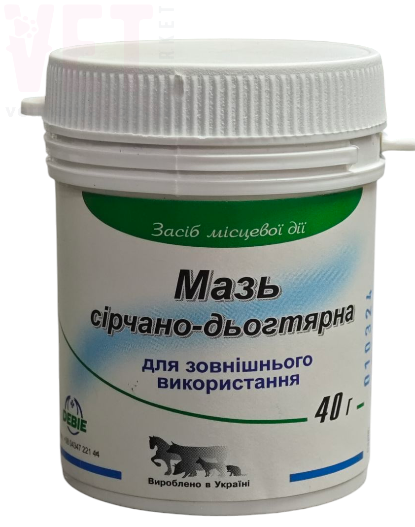 ���� �����-���������, 40 �, �����. ����, �����, ����