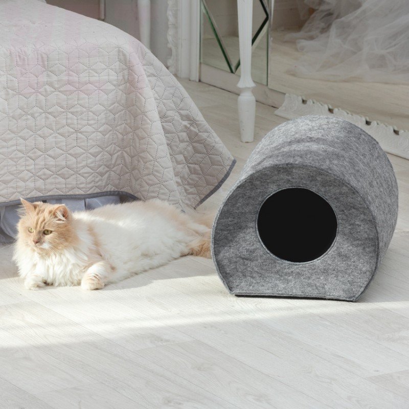 �����/����� ��� �������� ����� � ��������, Digitalwool. ����� / ����� � �����������