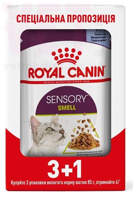 ���� ����� Sensory Smell Jelly 3+1. Feline Health Nutrition Wet - ������� �������