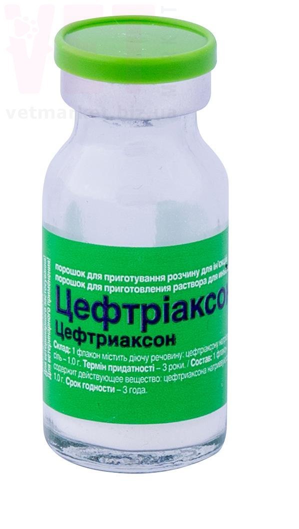 �����������, 1 �, O.L.KAR. (�����). �����������