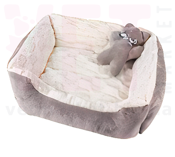 ������ ����� 182-31 ������������� � �������� ������. ������, �������