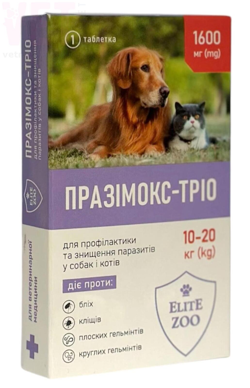 ���������-���� 1600 �� ��� ����� � ����� 10-20 ��, 1 ����., �������. ��������