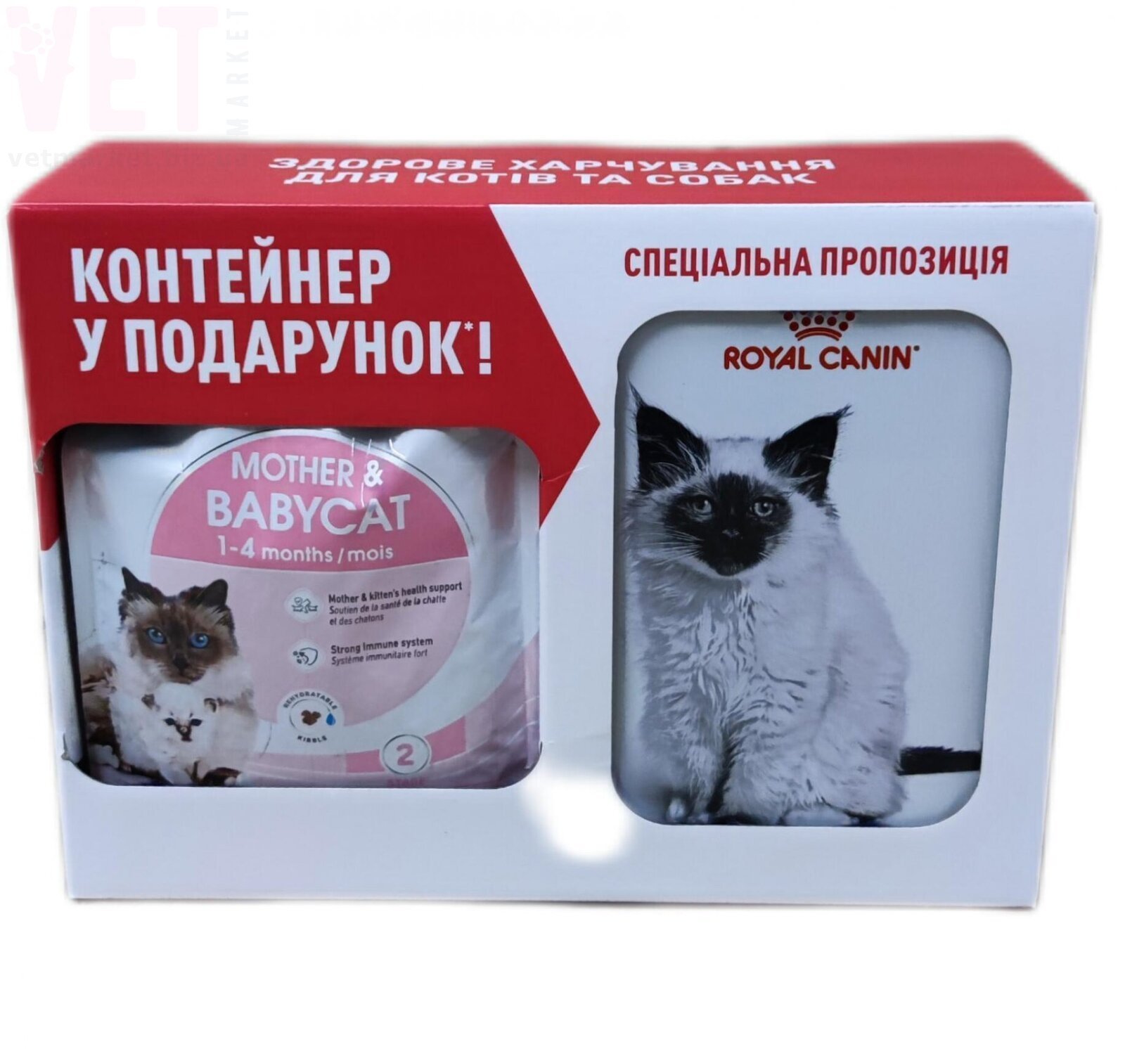 ���� ����� Mother and Babycat, 2 �� + ���������. GROWTH