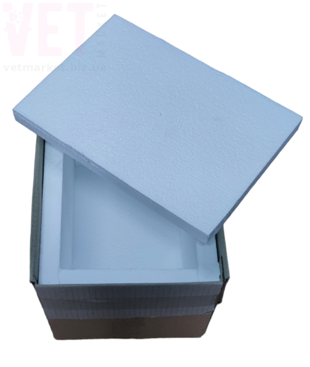 ��������� ���������. �������, ���������