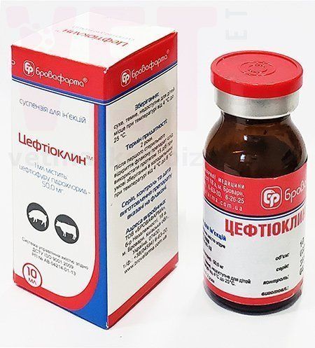 ����������, 10 ��, ����������. �����������