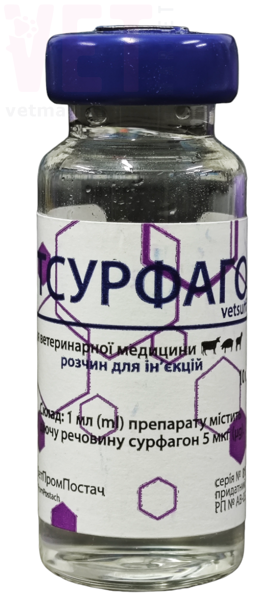 ����������� 5 ���, 10 ��, ����������������. ���������� ���������� �����