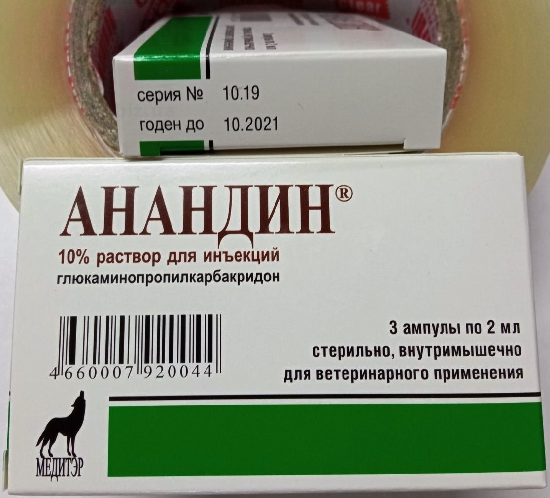 �����/������� 10% ������� ��� ��������, ������� (������). ����� / ����� � �����������