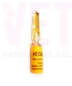 ��������, 1 ��, �������. ��� �/� �������� � ����