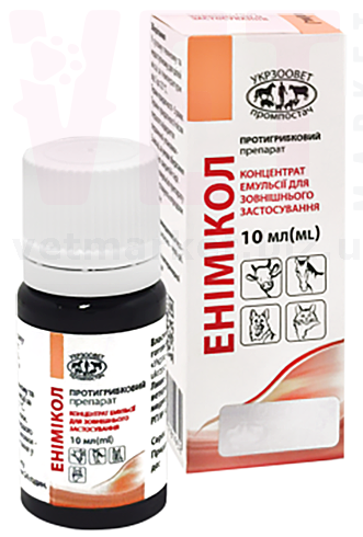 ��������, 10 ��, ����������. ��������, �������, �������� � ������ �����