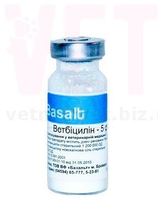 ����������-5 �������, �������. �����������