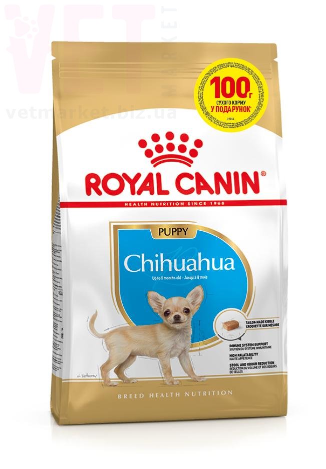 ���� ����� Chihuahua Puppy, 400 � + 100 �. Breed Health Nutrition - ������� � ������������ � �������