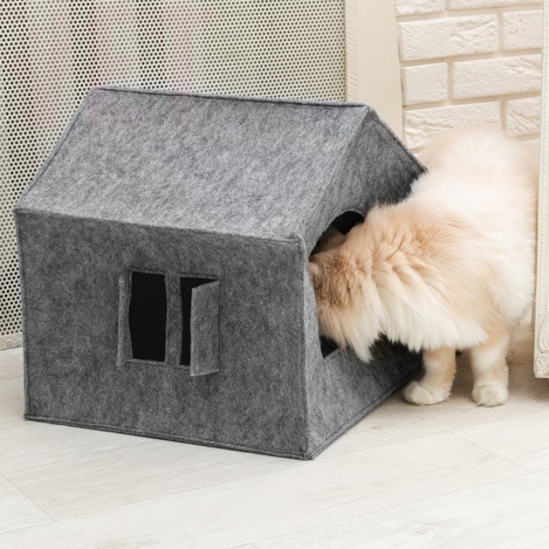 �����/����� ��� �������� ������� � ��������, Digitalwool. ����� / ����� � �����������