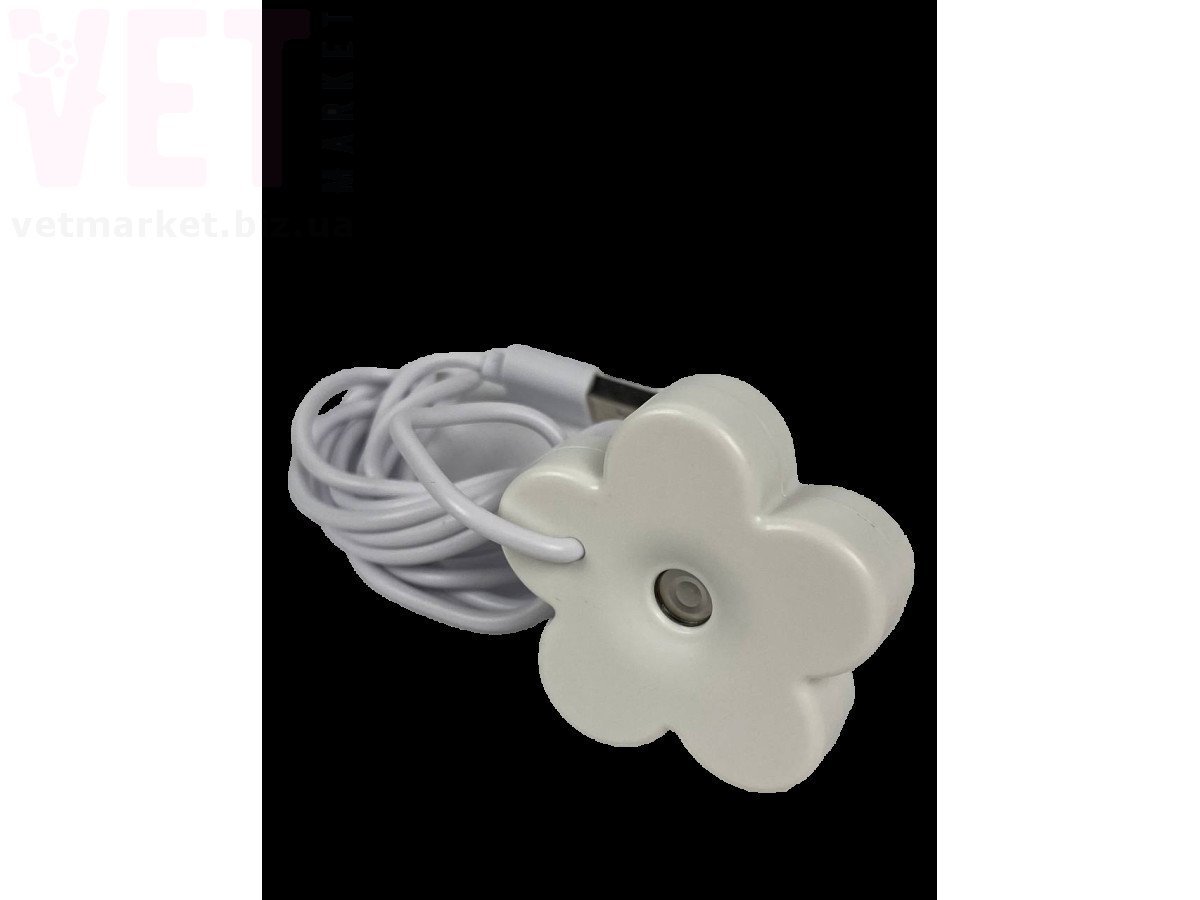 �������������� ����������� � ����������. ���������� �� ������������ �� ����������