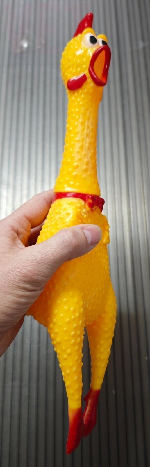 �����/������� ��������� ������ ������� 19-22 (������). ����� / ����� � �����������