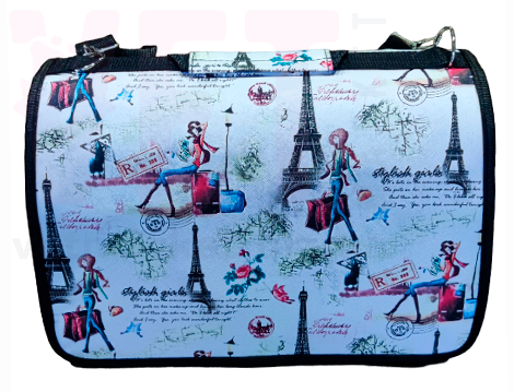 �����-��������� Eiffel Tower. �����