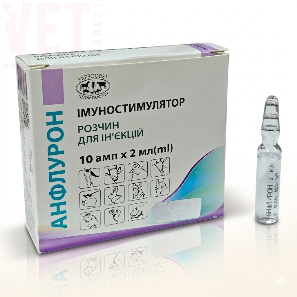 �������� 1��, 2 ��, ����������. �������� �������