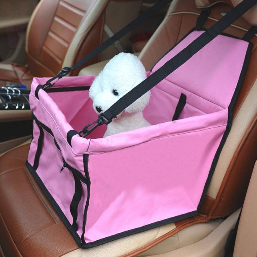 �����������. ����