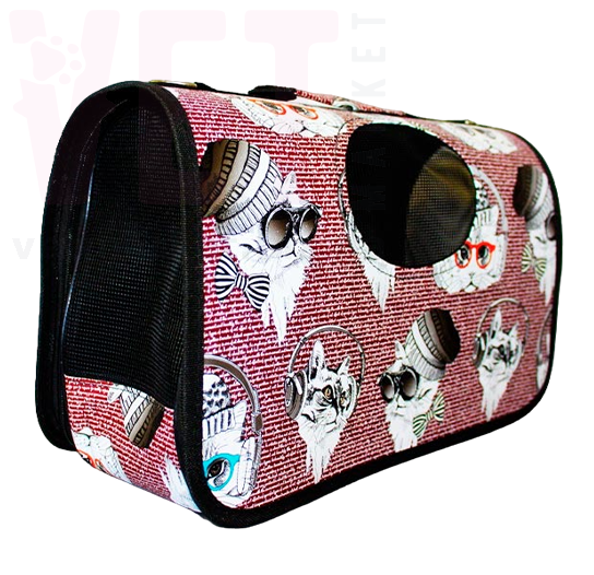 �����-��������� ��� �����. �����