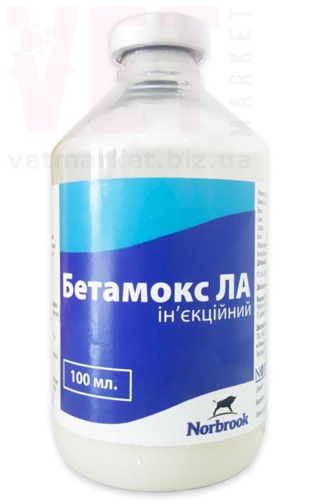 �����/�������� ��, 100 ��, ������� (����� ��������). ����� / ����� � �����������