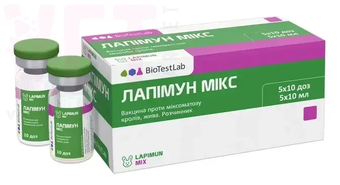 ������� ����, 10 ���, ����������. �������, ���������