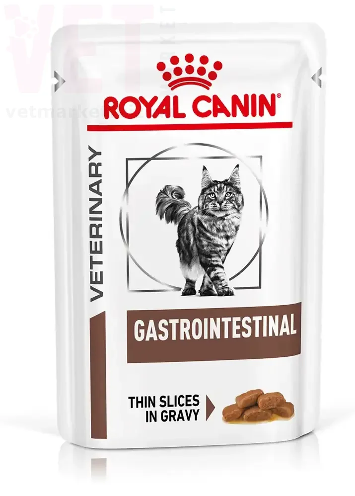���� ����� GastroIntestinal Cat (������� � �����), 0,085 ��. Veterinary Health Nutrition Cat Wet - ������������ �������� ������� ��� ����� (������� �������)