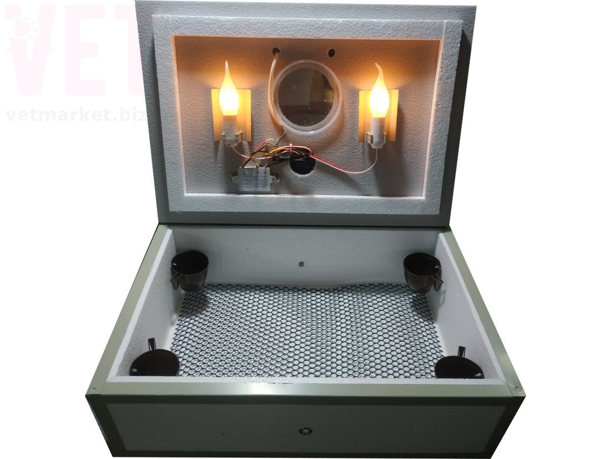 ��������� ������ ������� 100. ���������� � ������ �����������