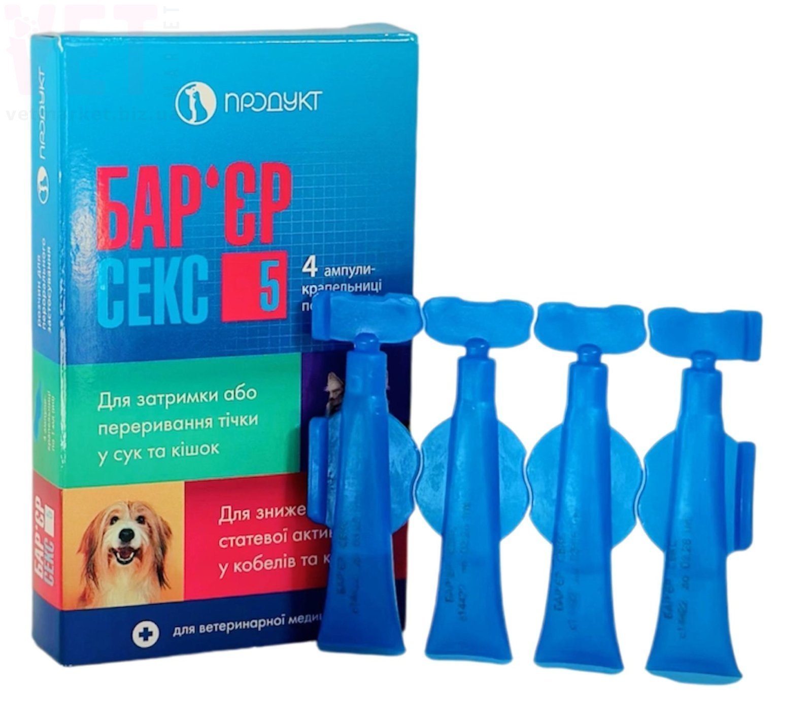 Украиндықтардың нағыз әуесқойлық секс видеолары