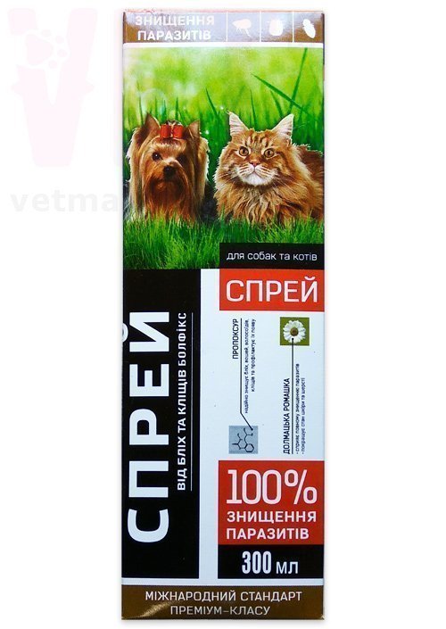 �����/����� �������� ��� ����� � �����, 300 ��, ����. ����� / ����� � �����������