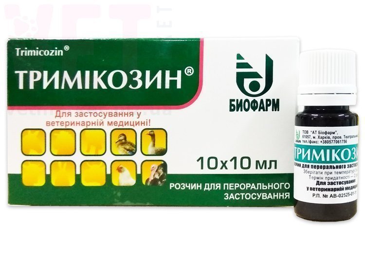 ����������, 10 ��, �������. ������������� � ����������������� ���������