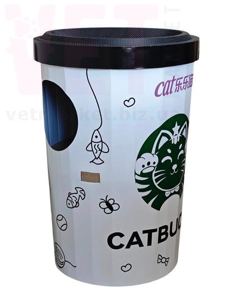 ���������� 6-62 catbucks. ʳ�������