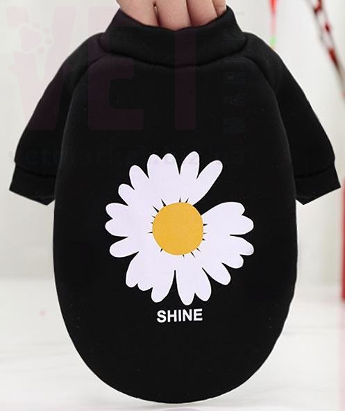 ������� 100-74 �������. �����/����