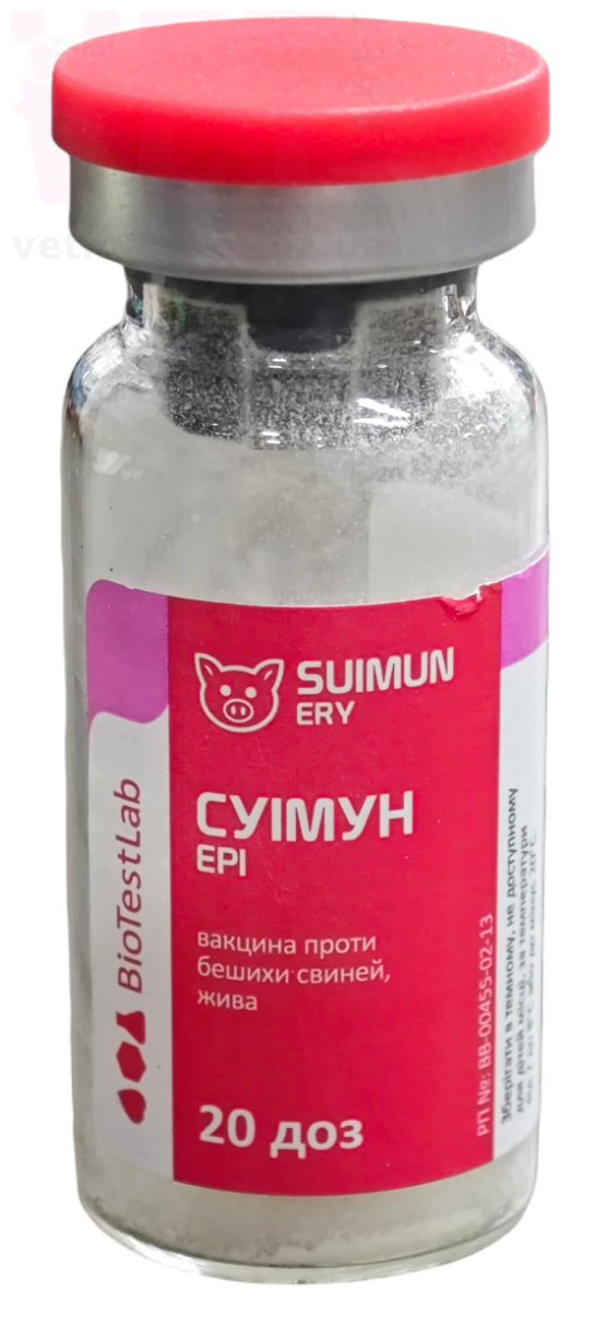 ������ ��� ������� ������ ���� ������, 20 ���, ����������. �������, ���������