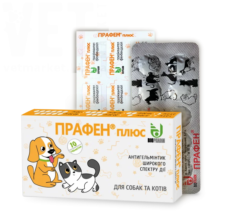 ������ ����, 10 ����., �������. ��� �����