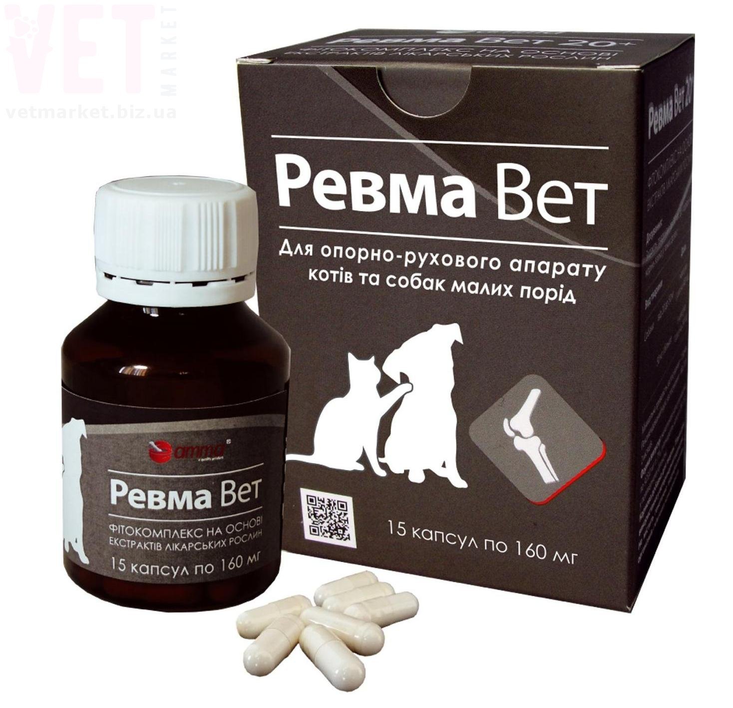 ����� ���, 15 ������, ���� ���� �������. Գ�����������, �������� ���������