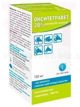 �����/������������, 100 ��, ���������. ����� / ����� � �����������