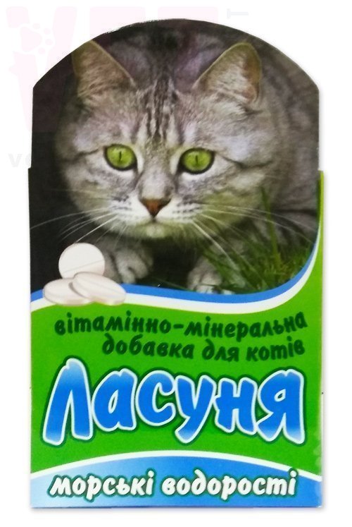 ������ ��� ����� ������� ���������, 100 ����., �����. ��� ����