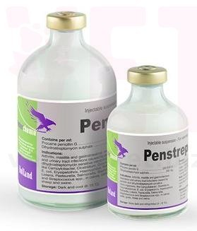 ��������-400, 100 ��, Interchemie. �����������