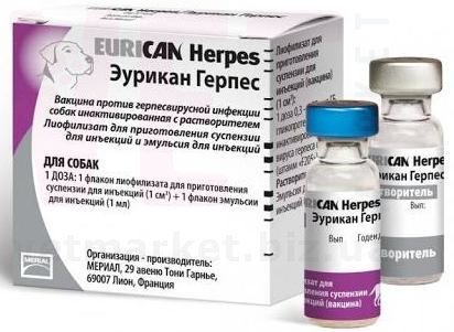 ������� Herpes, Boehringer Ingelheim. �������, ���������