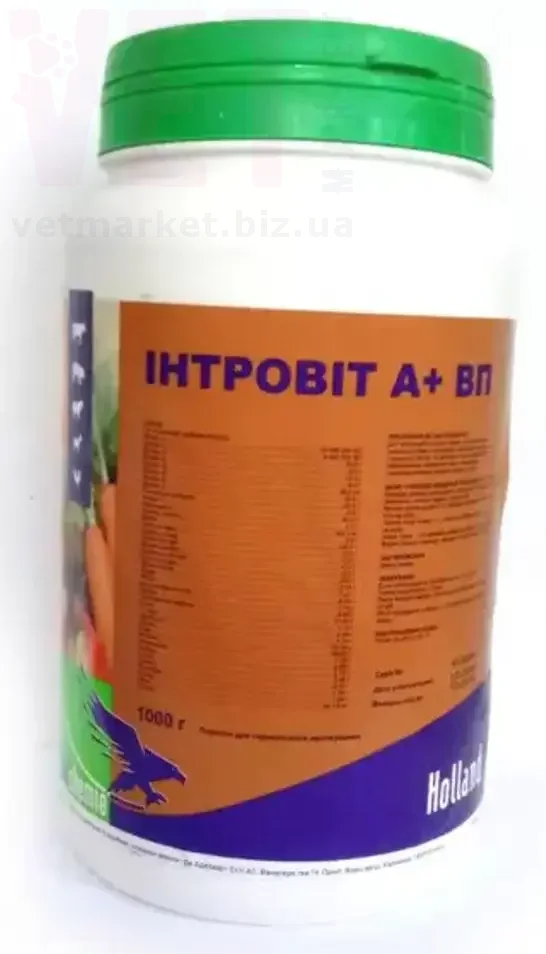 �������� � ���� ��, 1 ��, Interchemie. ��� �������������������� ������