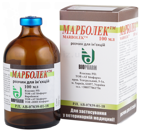 ��������, 100 ��, �������. ������������� � ����������������� ���������