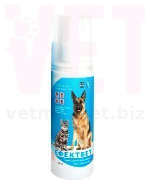 ��������� �����, 100 ��, ���������. �����