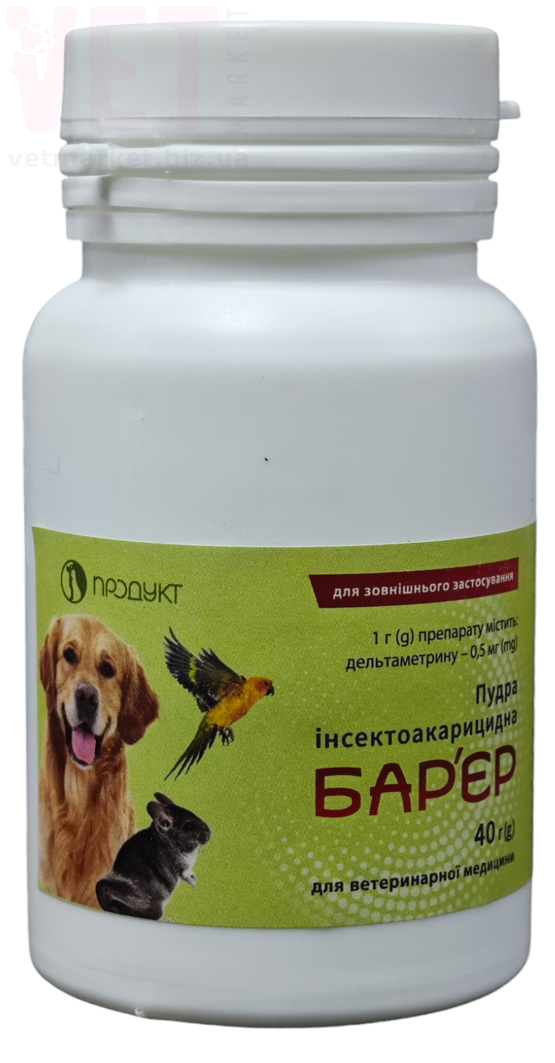 ������ �����, 40 �, �������. ������